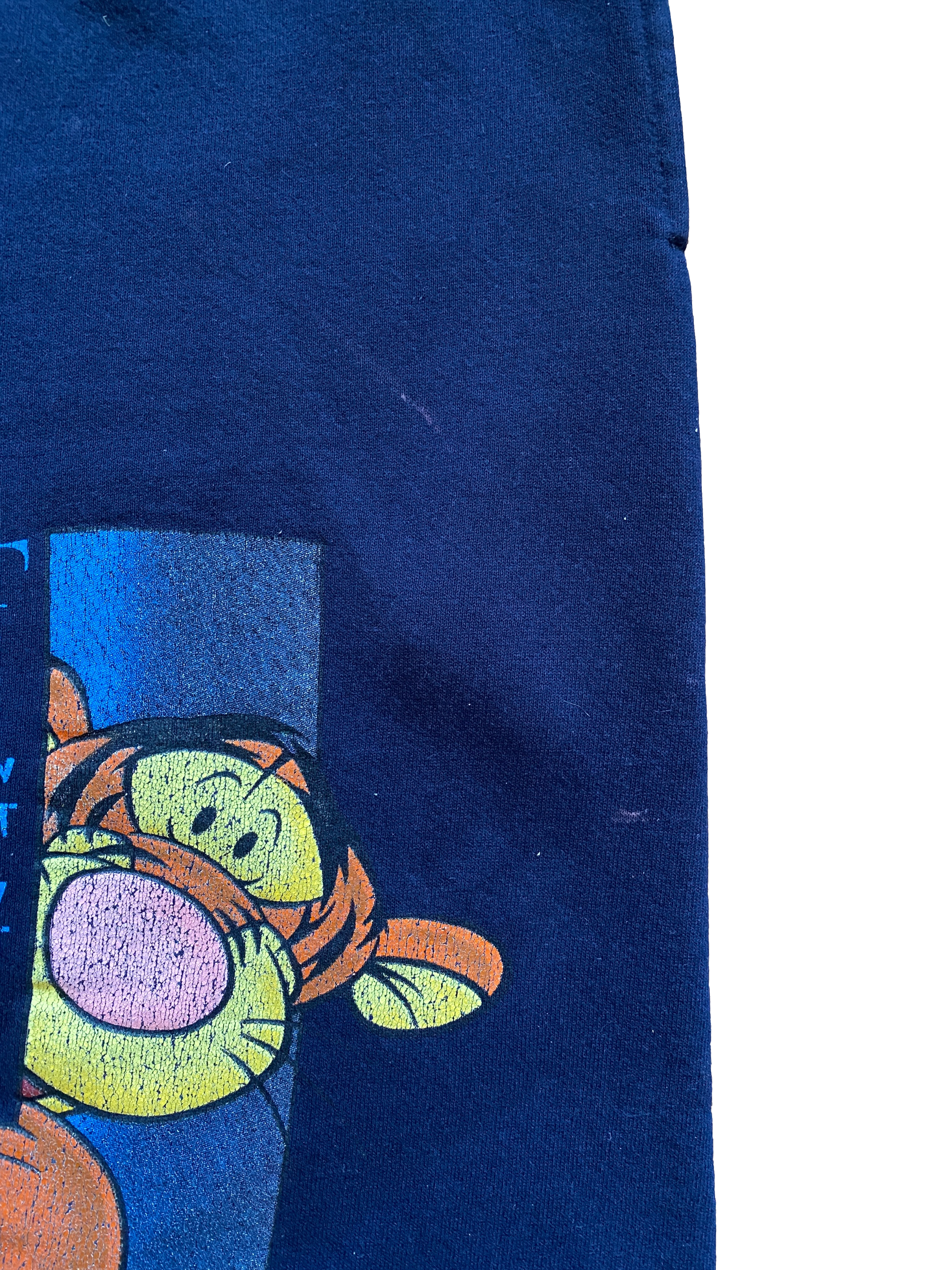 Vintage Disney Tigger Sweatpants