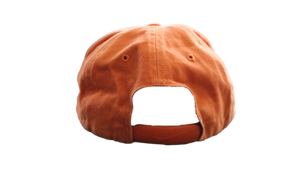 Vintage Nike Hat