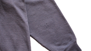 Vintage Illinois Russell Hoodie